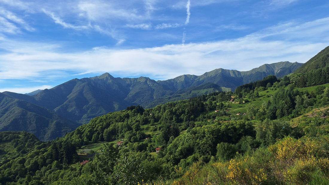 Cycling in the mountainous part of Tuscany