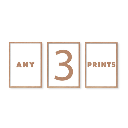 Three minimalist framed wall art prints